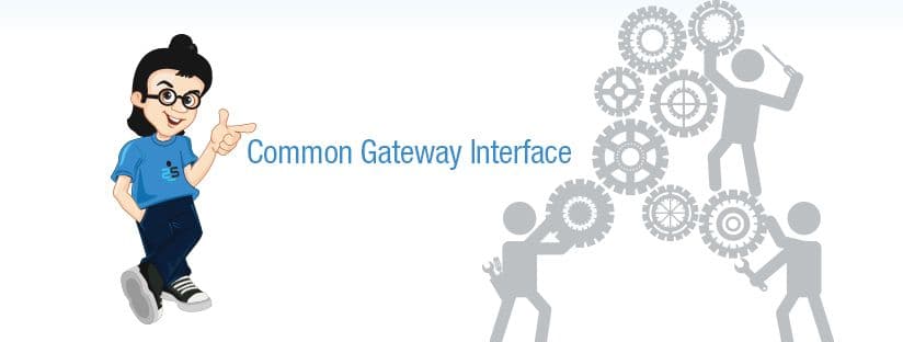 What is CGI (Common Gateway Interface)? A Beginner's Guide