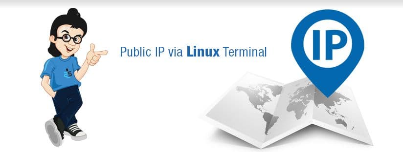How to Find Your Public IP Address via Linux Terminal