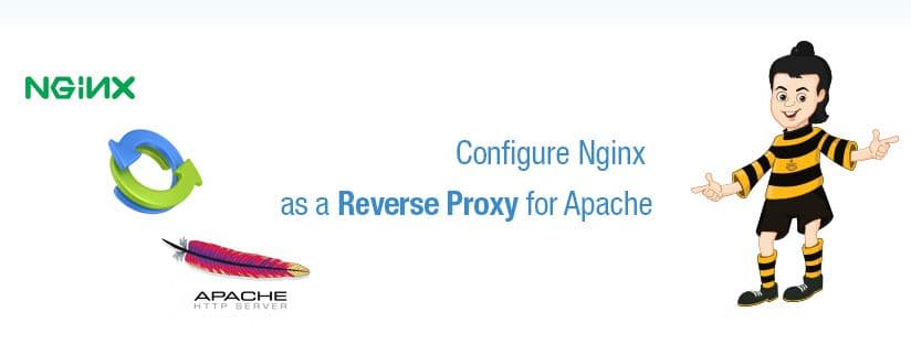 How to Configure Nginx as a Reverse Proxy for Apache