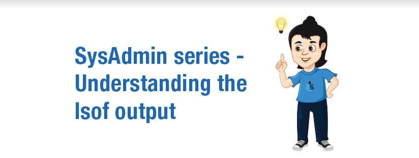 How to Read lsof Output: A Complete Guide